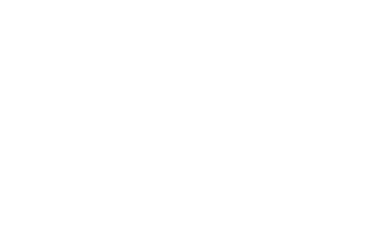 SIRT