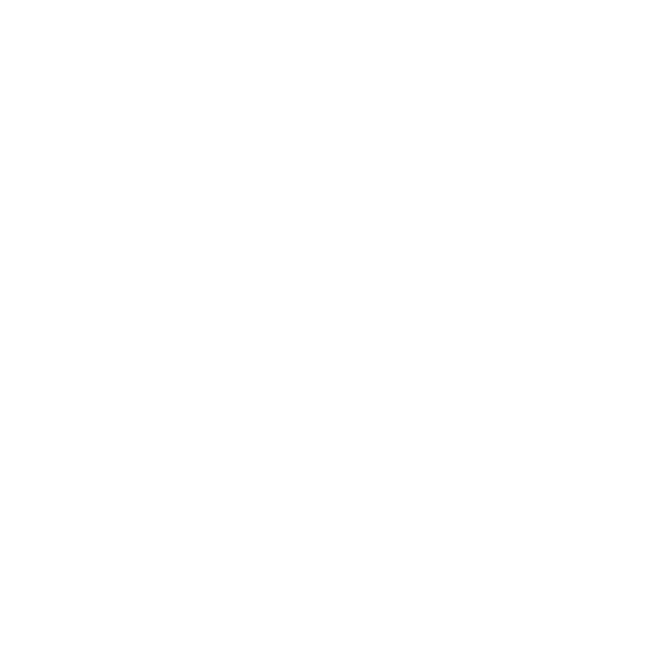 Meta Certified Digital Marketing Associate