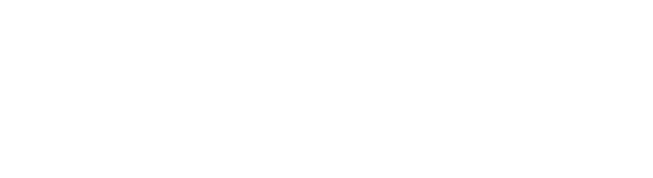 The Ritz Herald