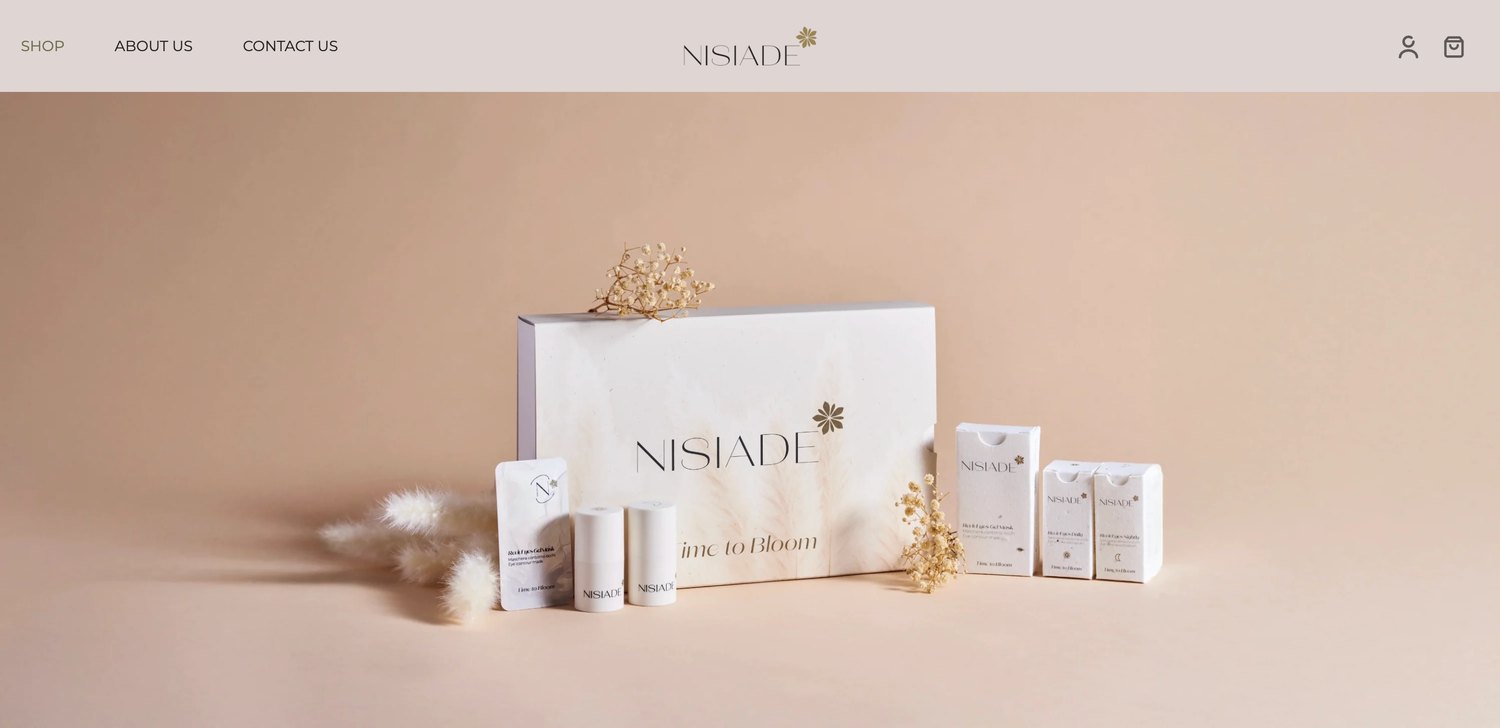 E-commerce di Nisiade